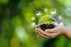 istockphoto x
